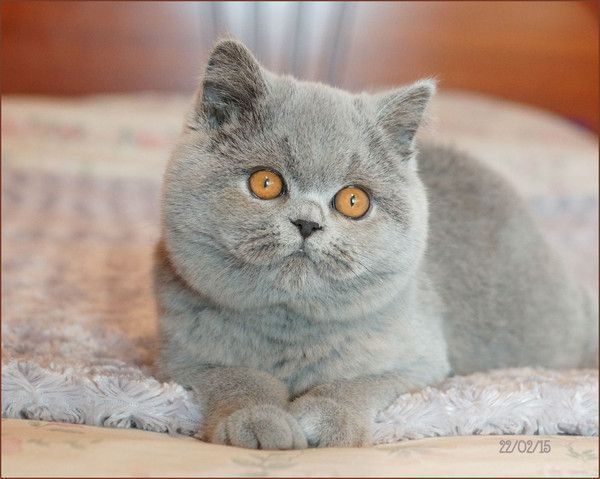 Winnie
